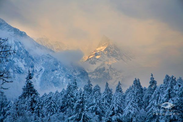 1个准入门槛规范行业运行-六神源码网
